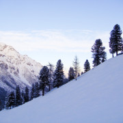 Wandbild-Berglandschaft-2