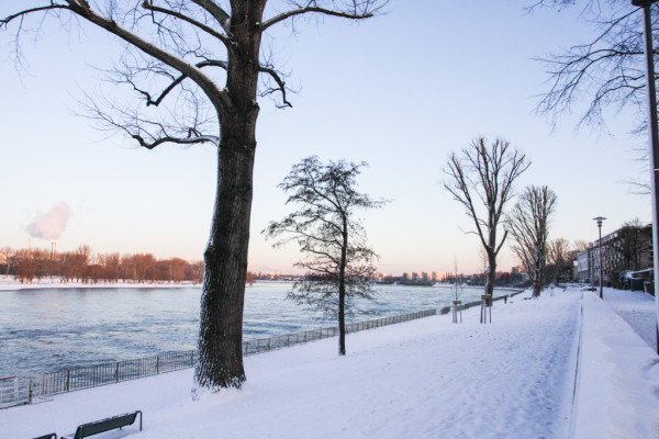 Wandbild-Berglandschaft-3