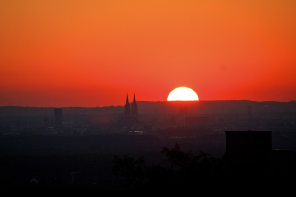 Wandbild-Koeln-16