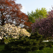 Wandbild-Landschaft-11