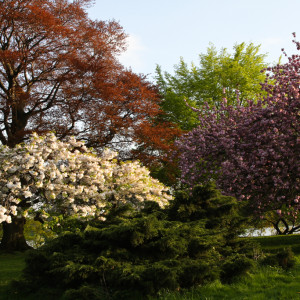 Wandbild-Landschaft-11