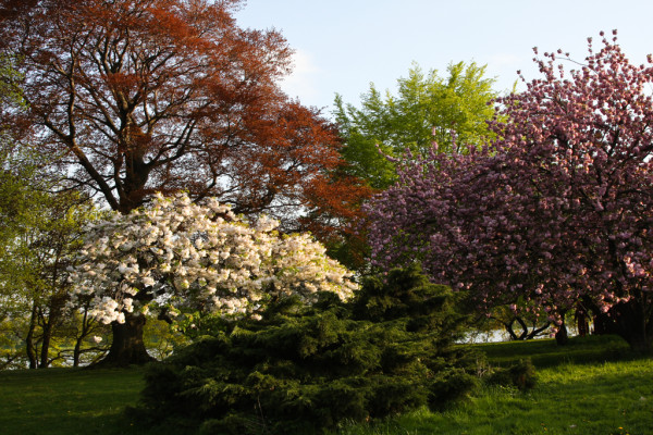 Wandbild-Landschaft-11