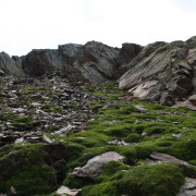 Wandbild-Landschaft-13