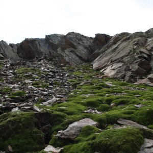 Wandbild-Landschaft-13