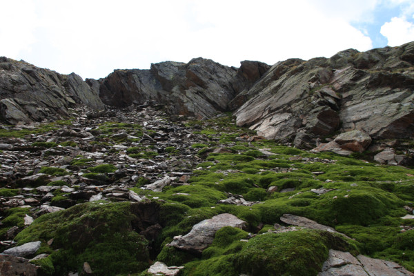 Wandbild-Landschaft-13