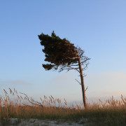 Wandbild-Landschaft-19