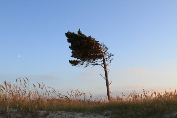 Wandbild-Landschaft-19