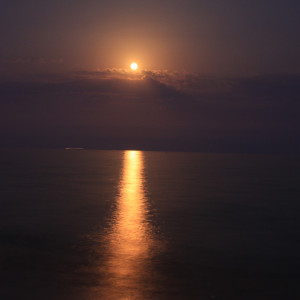 Wandbild-Landschaft-2