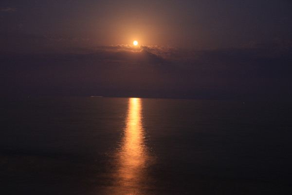 Wandbild-Landschaft-2