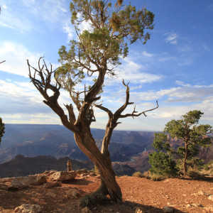 Wandbild-Landschaft-20