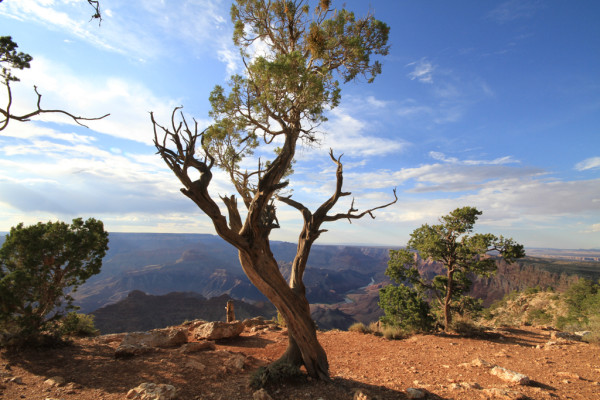 Wandbild-Landschaft-20