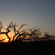 Wandbild-Landschaft-21