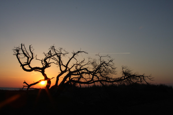 Wandbild-Landschaft-21