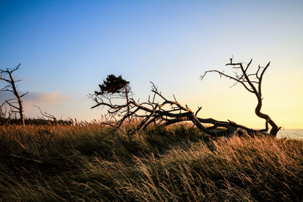 Wandbild-Landschaft-22