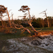 Wandbild-Landschaft-23