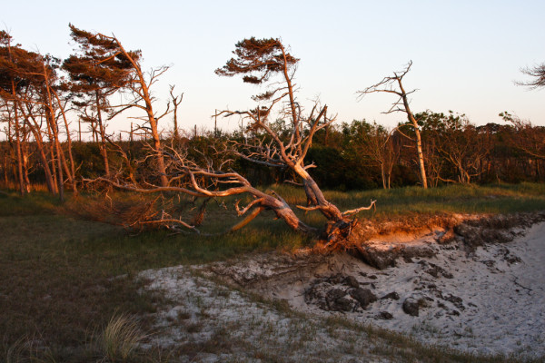 Wandbild-Landschaft-23