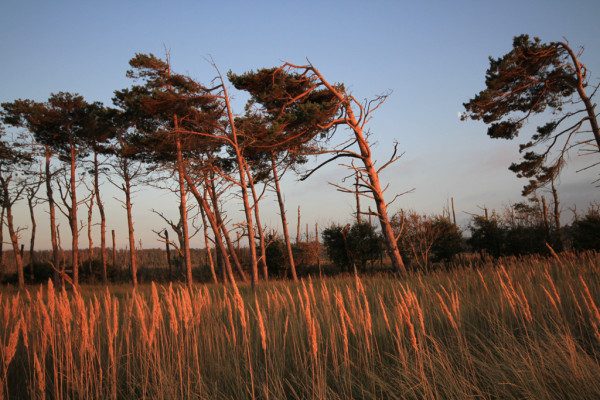 Wandbild-Landschaft-24