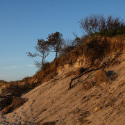 Wandbild-Landschaft-25