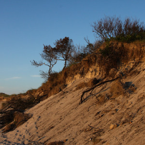 Wandbild-Landschaft-25