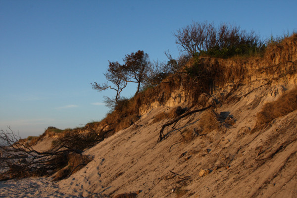 Wandbild-Landschaft-25