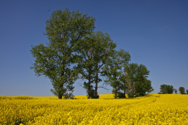 Wandbild-Landschaft-27