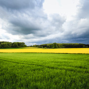 Wandbild-Landschaft-28