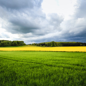 Wandbild-Landschaft-28