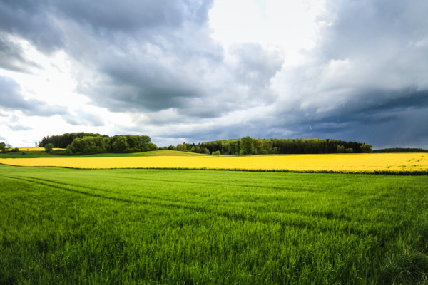 Wandbild-Landschaft-28