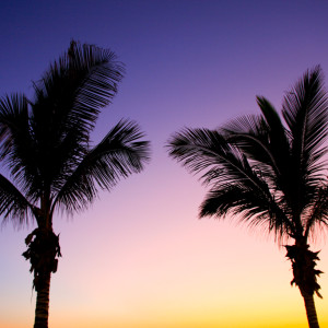 Wandbild-Landschaft-3