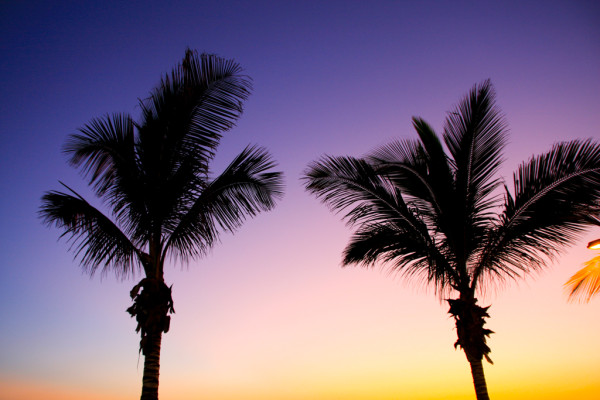 Wandbild-Landschaft-3