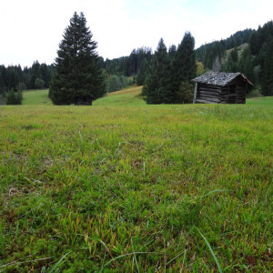 Wandbild-Landschaft-31