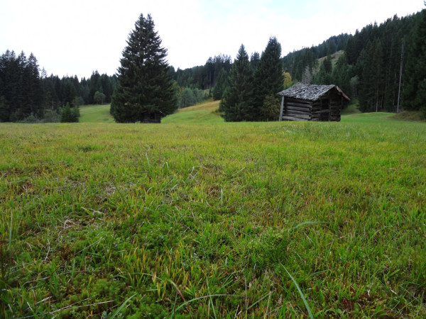 Wandbild-Landschaft-31