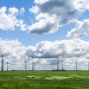 Wandbild-Landschaft-32