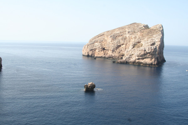 Wandbild-Landschaft-4